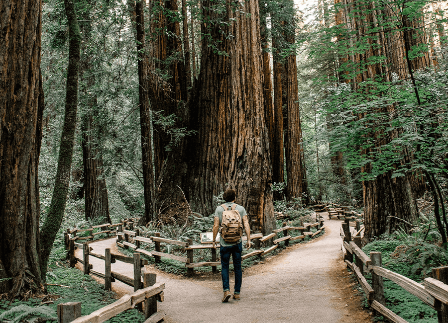 Blog Featured Image Header